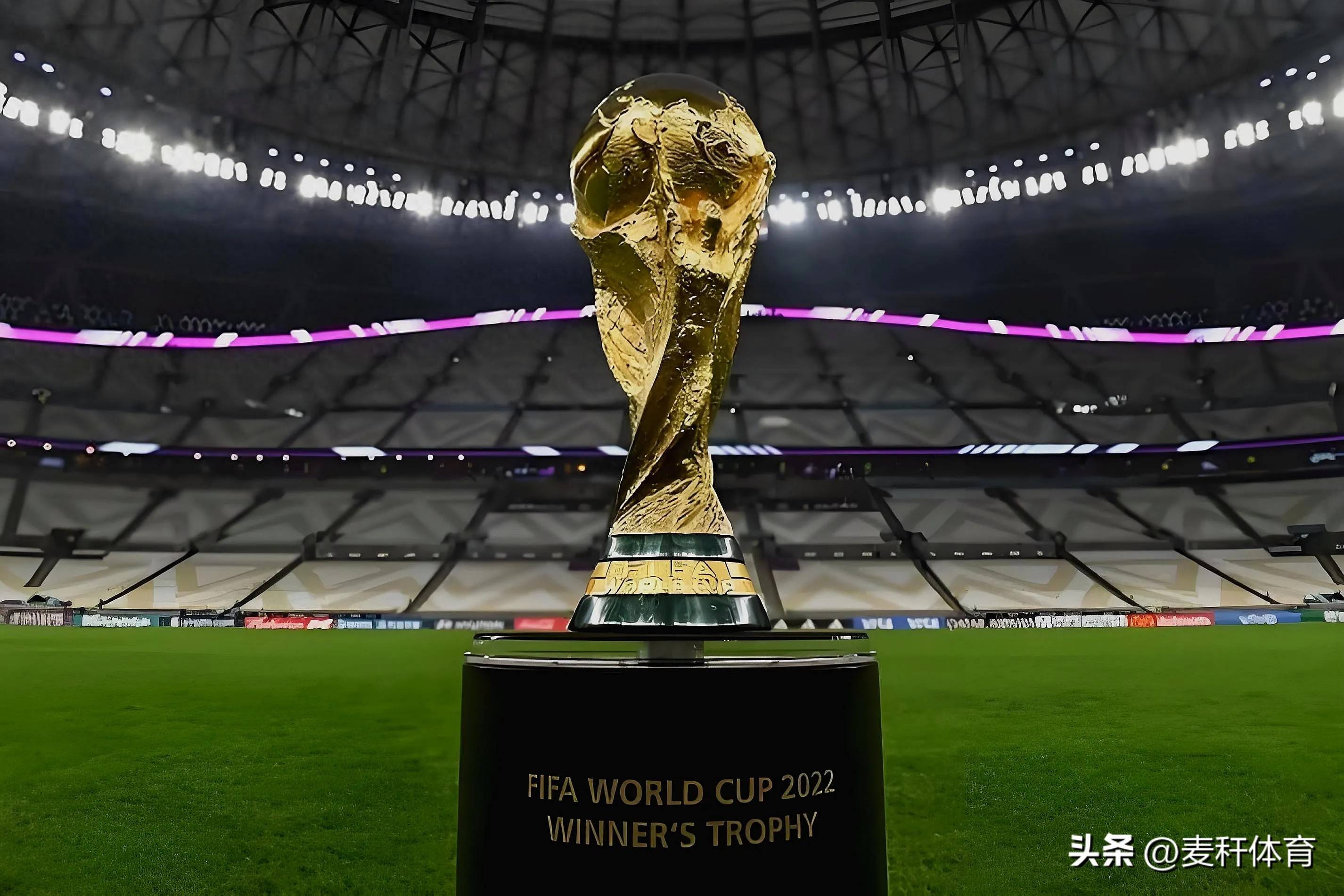 小球运动的 小球运动的