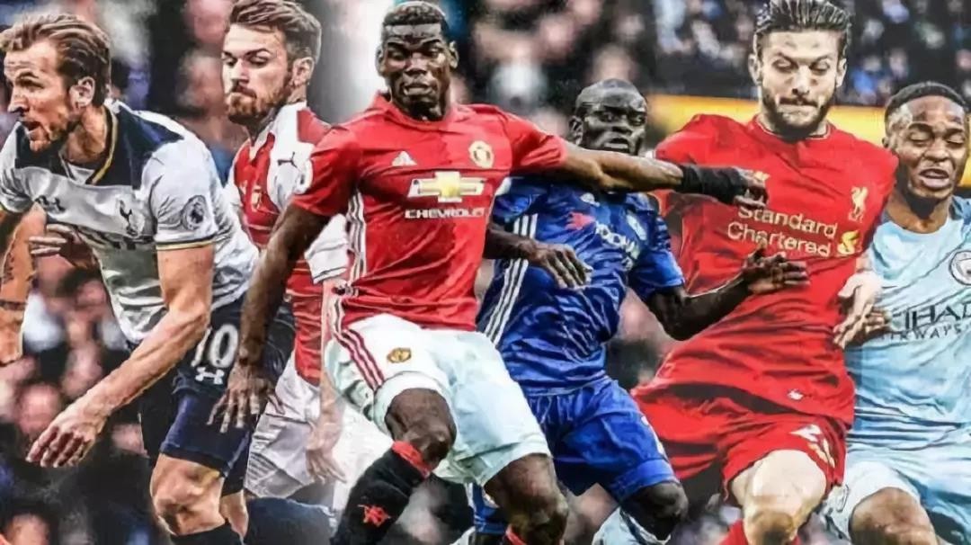 关注裁判团 关注裁判团